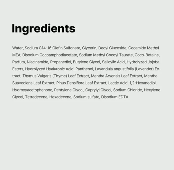 Acne Body Cleanser with Salicylic Acid - 14.52 Fl.oz| Hydrating Asian Care for Bacne