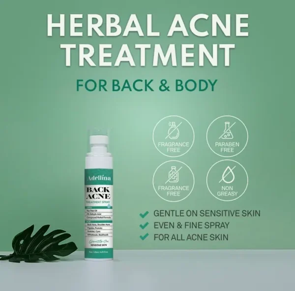 Body Acne Spray: Salicylic Acid, Tea Tree Oil & Niacinamide, 4 oz