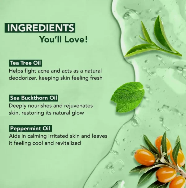 Botanic Body Wash with Tea Tree, Soothes Itchiness, Bundle