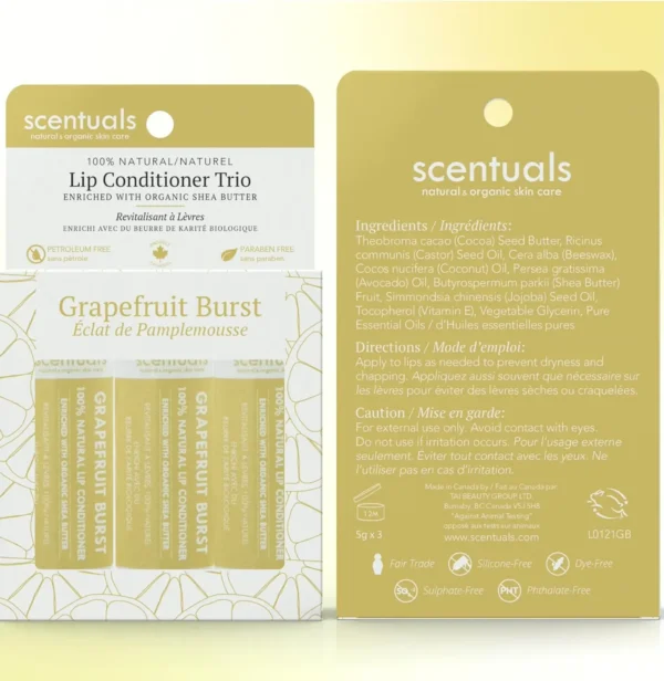 Lip Balm Set of 3 - Cocoa Butter Enriched