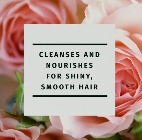 Natural Essences Cleanser and Conditioner Set, Smooth with Vitamin E, Rose Hips, Jojoba, 29.2 Fl Oz, 2 Bundle
