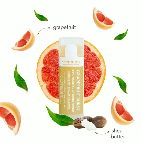 Lip Balm Set of 3 - Cocoa Butter Enriched
