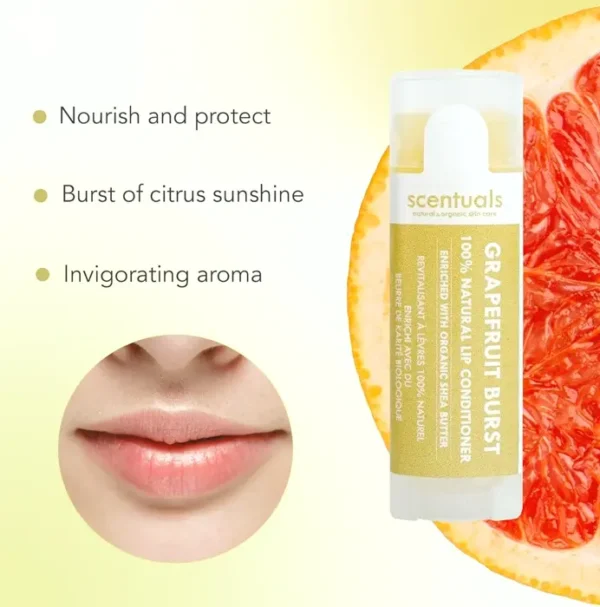 Lip Balm Set of 3 - Cocoa Butter Enriched