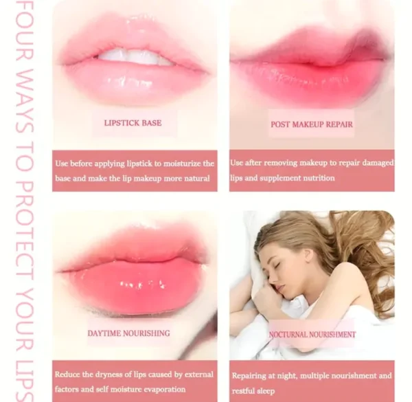 Three piece Fruit Lip Balm Set
