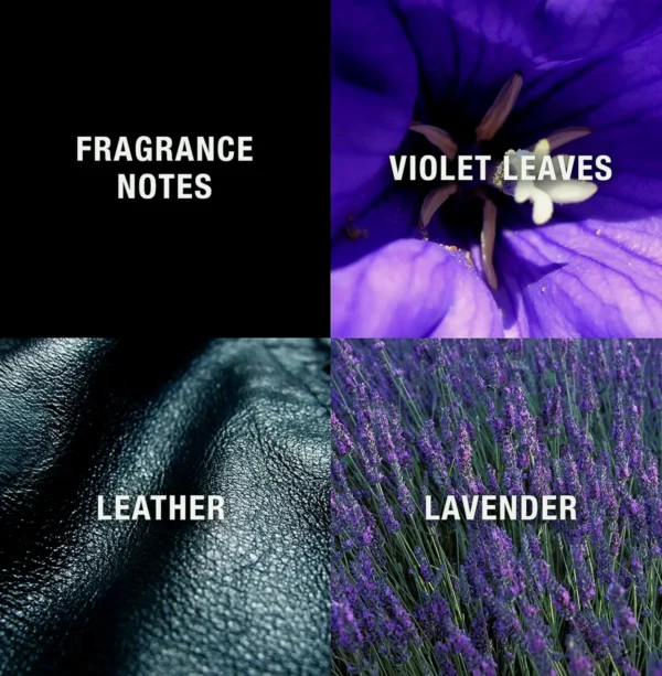 Sleek Men's Cologne Mist, Cool Day or Night Scent